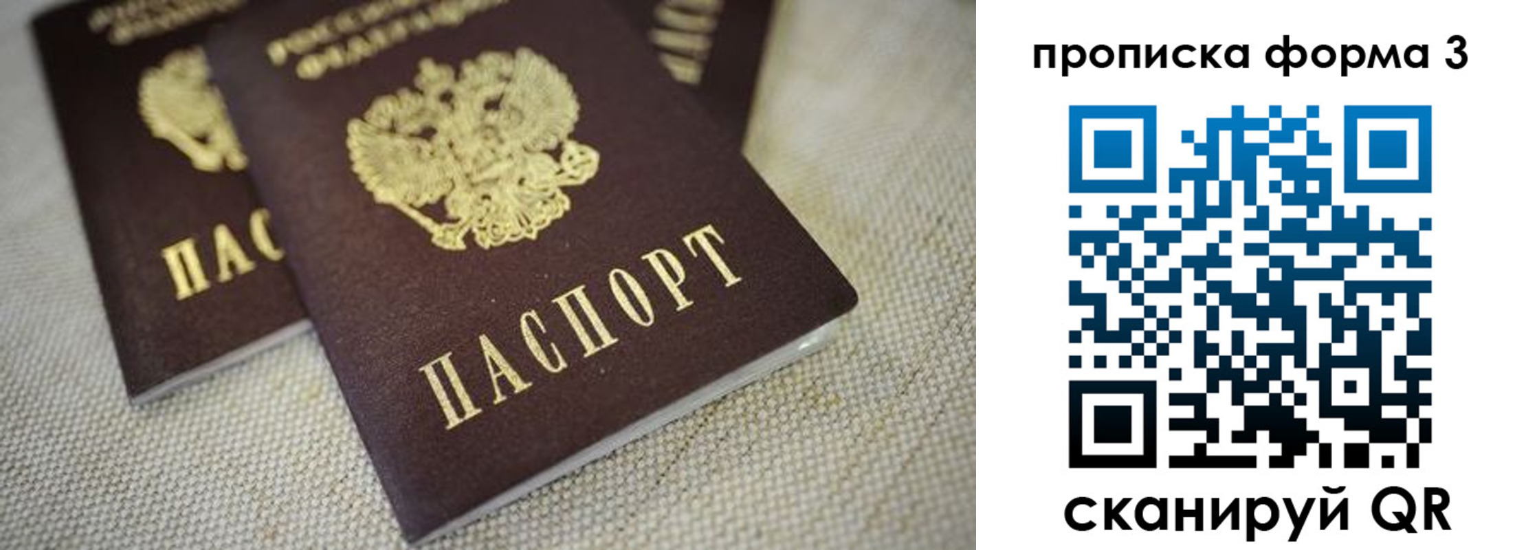 прописка поиск в Ковылкино